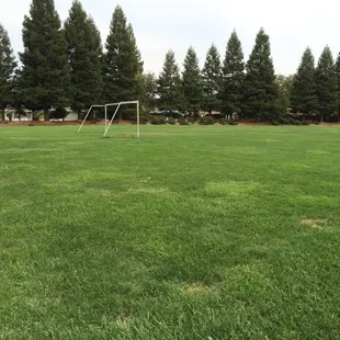 Price small park for dogs water fountain trash cans sidewalks benches backs up to a school