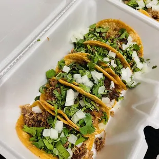Barbacoa Tacos
