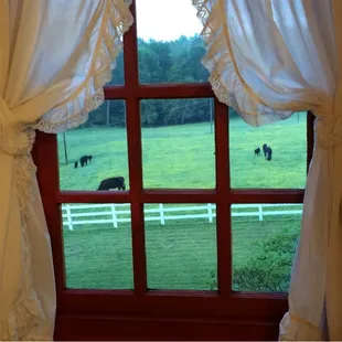 View from the Wilson Suite