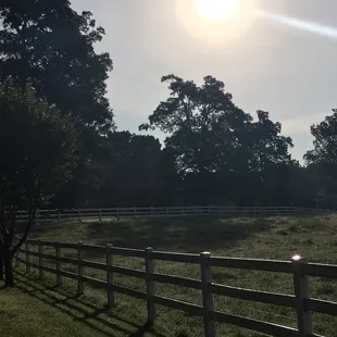 Morning at the main house