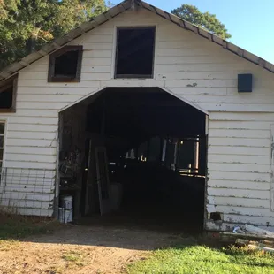 Where the cows live!