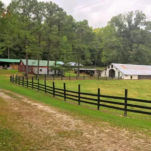 The farm