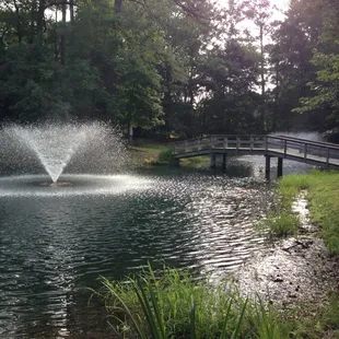 Beautiful pond next to the inn