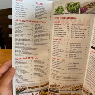 a hand holding a menu
