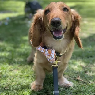 So much fun at the founders event at ward