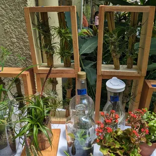 So clever this display