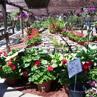 Ward&apos;s Garden Center