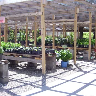 Ward&apos;s Garden Center