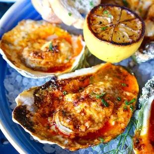 Broiled Oysters