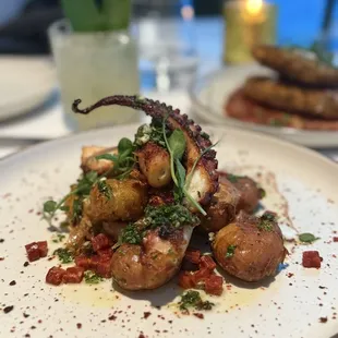Octopus