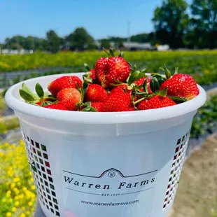 All in a good day's work