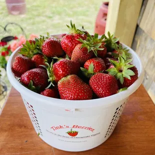We left with 2 buckets. It's $3.29/lb or $25 for a bucket of pre-picked berries