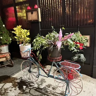 a bicycle with a basket full of flowers
