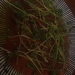 Tuna Carpaccio