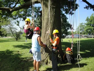 Tree Climbing Kansas City