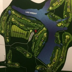 Layout