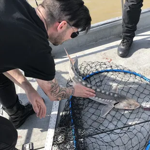 The Warrior Poet - Birthday Fishing Trip - SF to San Pablo Bay &amp; back - March 17 2019.