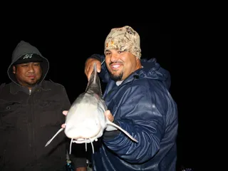 Boss Hogg Sportfishing