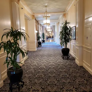 Ballroom libby