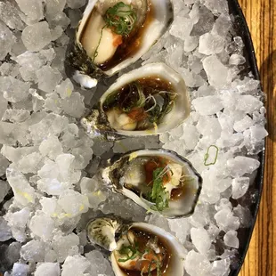 food, shellfish, oysters, oysters and mussels, mussels