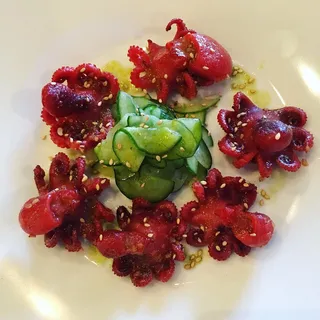 Octopus