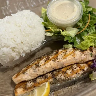Salmon