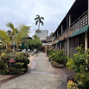 Cute view of the walkway taking you to the restaurant