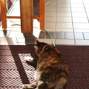 This can greets you at the front door