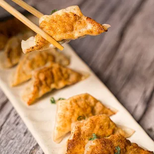 Pan-Fried Dumplings