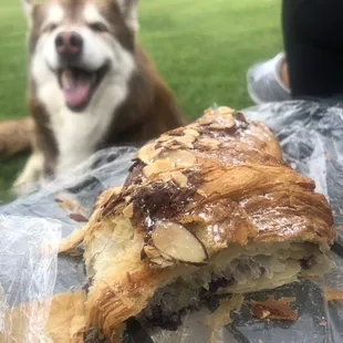 Blueberry Croissant