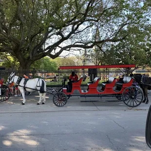 Carriage rides in New Orleans