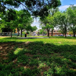 Overview of dog park