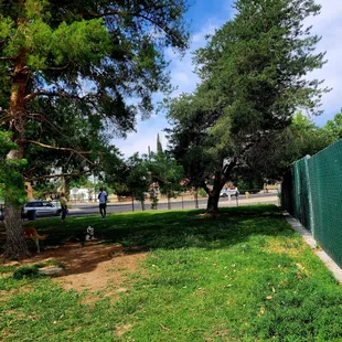 POV.of mini dog park