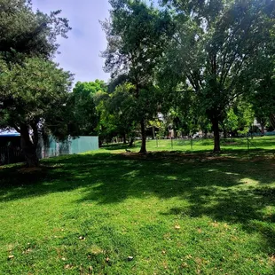 Bennie Hargrove Mini Dog Park