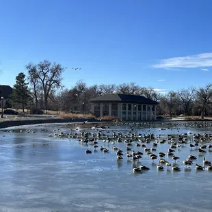 Dec 19th, holes in the ice!