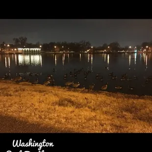 33 degrees outside and 50/50 swimmers to spectators!
