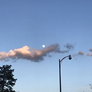 Looking east from Boathouse.