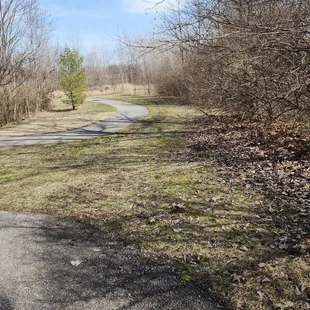 Walking trails on a warm 70 degrees on March 1st!