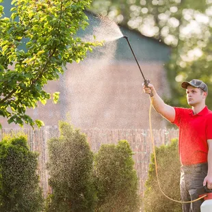 a man spraying a tree with a hose