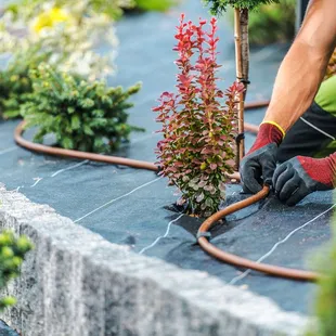 a man working on a garden