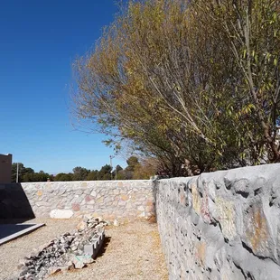 a stone wall and a tree