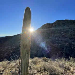 Beautiful sunrise on the trail