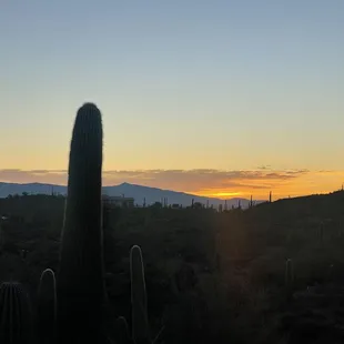 Sunrise on the trail