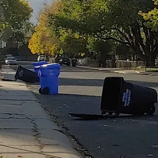 Here is what it looks like after Springs waste come through