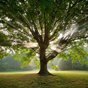 Trash Cans Colorado Springs, CO