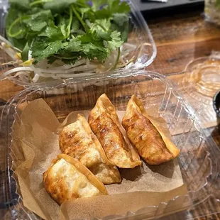 Pork Dumplings