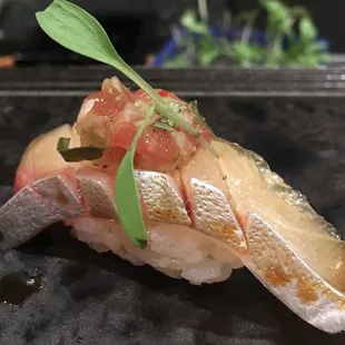 Shima aji