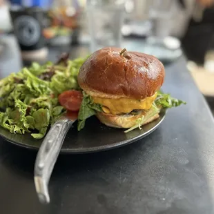 Classic cheddar cheese burger