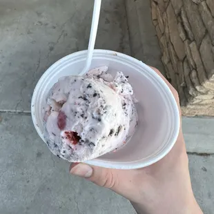 Cherry Chip Ice Cream