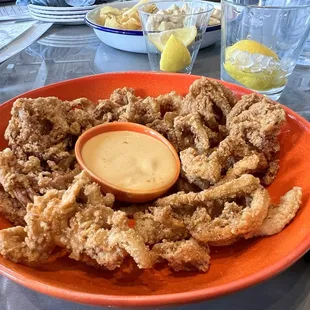 Fried Calamari